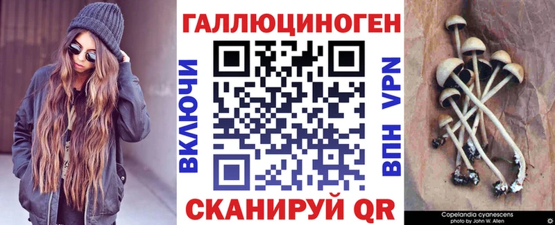 ОМГ ОМГ ТОР  наркошоп  Краснослободск  Галлюциногенные грибы Psilocybine cubensis 