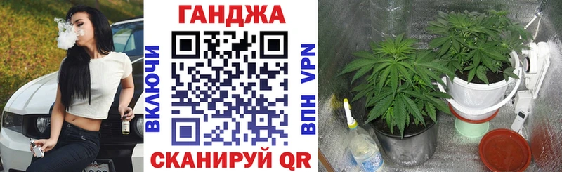 Шишки марихуана VHQ  цены   Краснослободск 